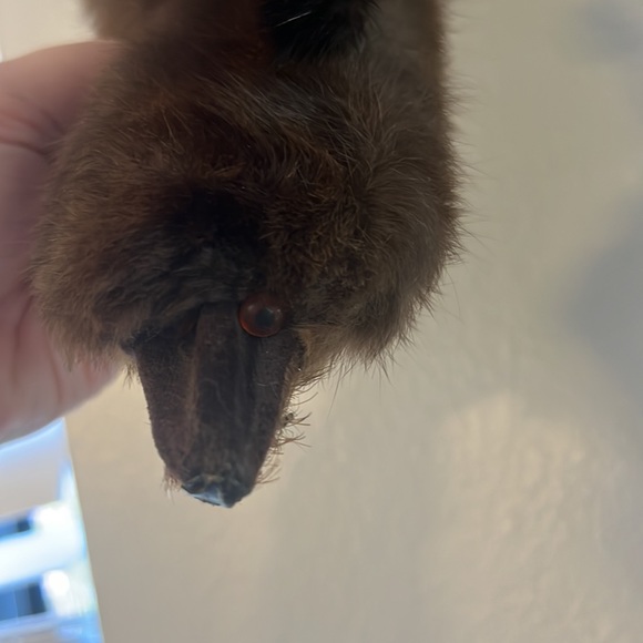 5 pelt mink stole authentic real excellent condition - Picture 3 of 5